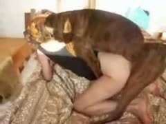 Enjoyable doggystyle bestiality twat thumping for this stunning older college dilettante seductress